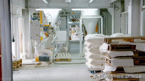 300吨面粉加工厂投资成本与投资管理指南