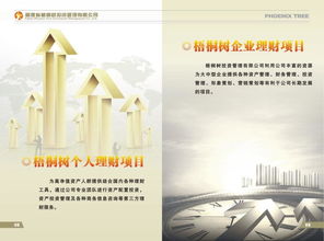 福建省梧桐树投资管理图册 投资管理的智慧与实践