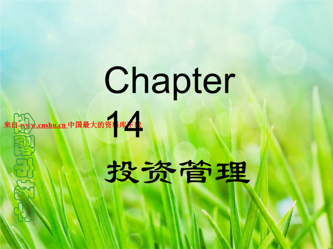 投资管理国际环境下的投资 .ppt 66页
